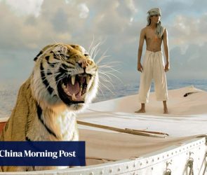 ‘No taste’: Malaysia’s Life of Pi and Squid Game artists warn against AI rush