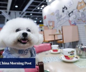 Pawsitively posh: Hong Kong Pet Show takes luxury to new heights