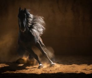 12 award-winning photos of our beautiful world