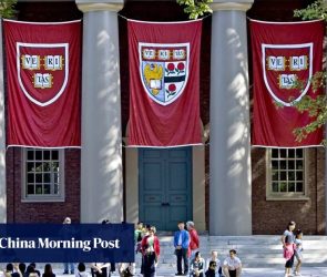 Chinese student numbers at Harvard rise despite Trump visa crackdown