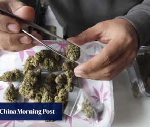 Thailand tightens cannabis sales as dispensaries face closure ahead of election