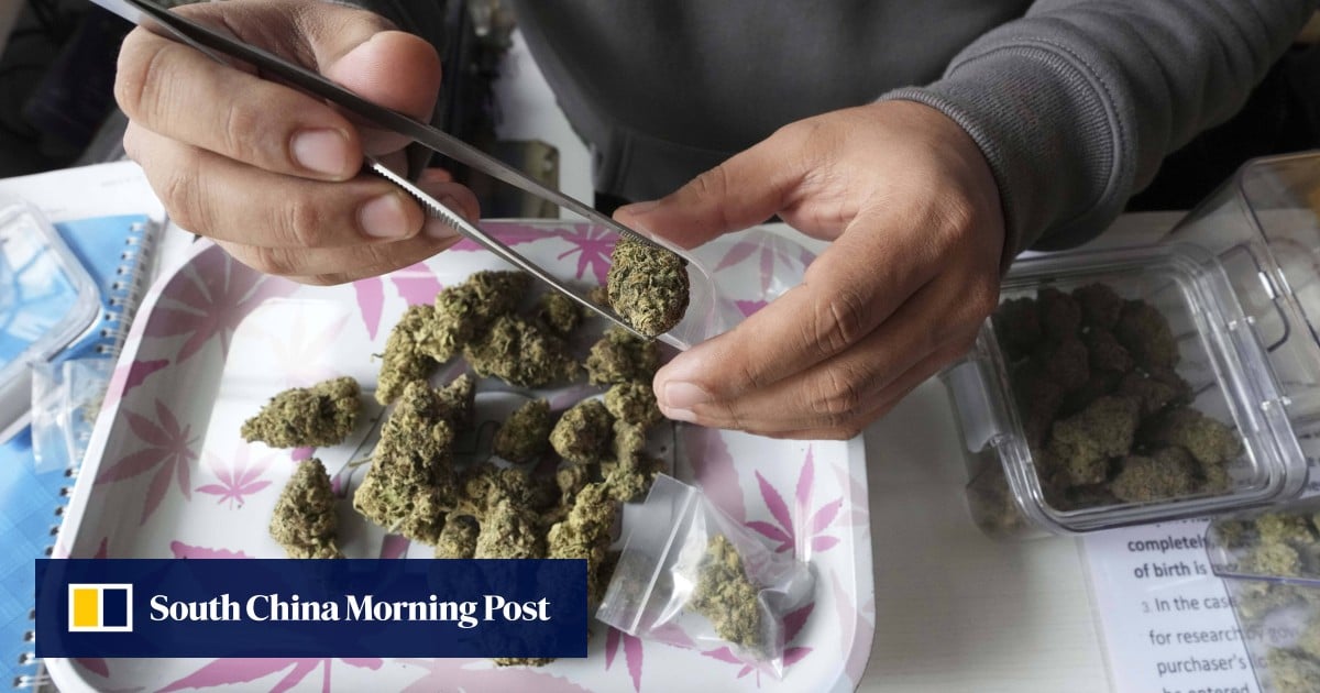 Thailand tightens cannabis sales as dispensaries face closure ahead of election