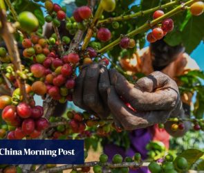 Why ‘monumental’ China duty-free trade deal has Kenya wanting more