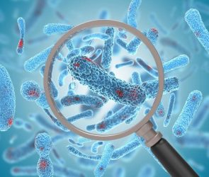 Bacteria Magnifying Glass Sepsis