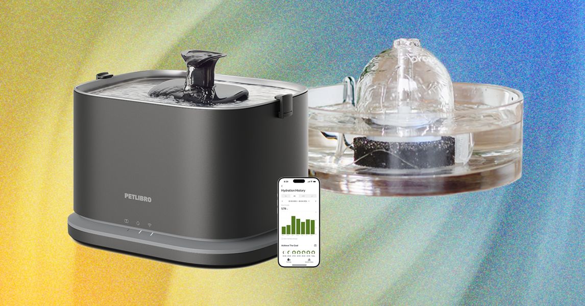 9 Best Cat Water Fountains, WIRED-Tested and Reviewed (2025)