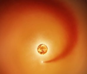 Betelgeuse and Wake of Companion Star