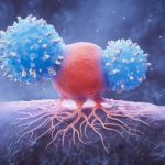 Biological Lymphocytes and Cancer Cell