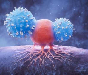 Biological Lymphocytes and Cancer Cell