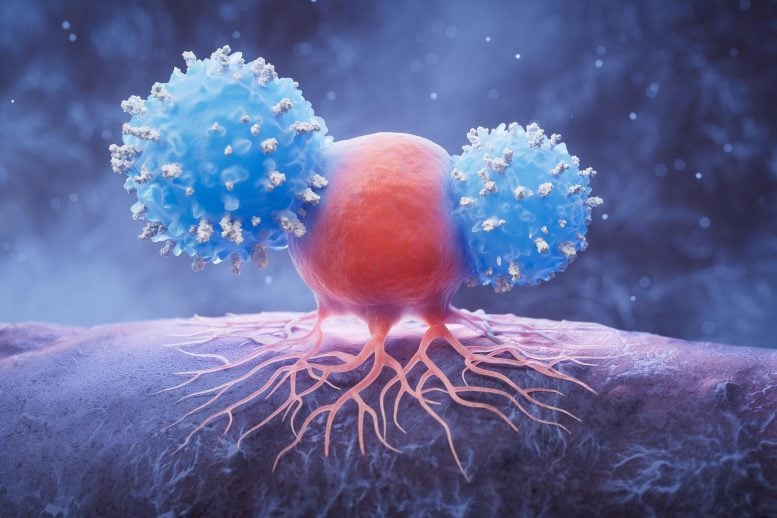 Biological Lymphocytes and Cancer Cell