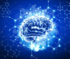 Brain Neuroscience Chemistry Formulas Biotechnology
