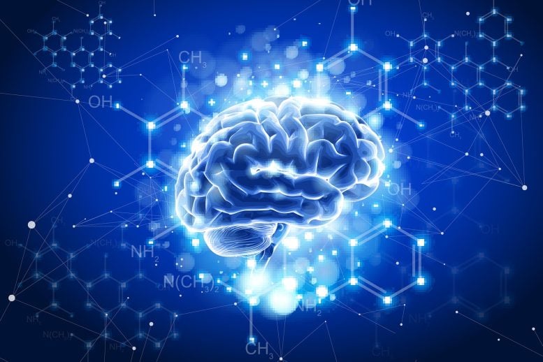 Brain Neuroscience Chemistry Formulas Biotechnology