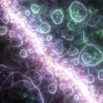 Cellular Life Origin Evolution