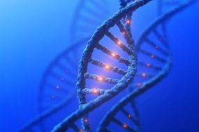 DNA Genetics Mutation Concept