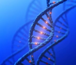 DNA Genetics Mutation Concept