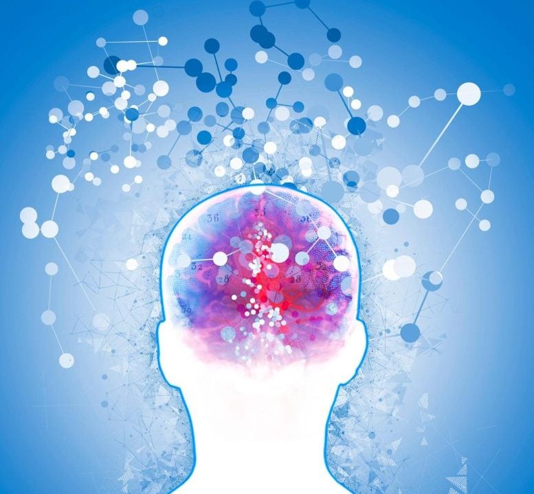 Dementia Particles Alzheimer's Brain