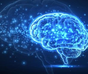 Digital Brain Artificial Intelligence Network Connections