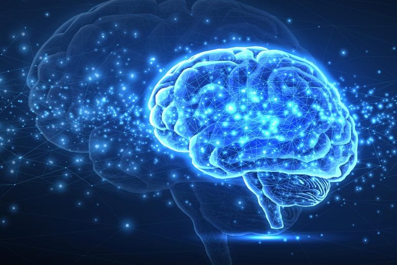 Digital Brain Artificial Intelligence Network Connections