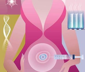 Eggonomics: The Global Market in Human Eggs and the Donors Who Supply Them by Diane M. Tober