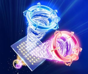 Electric-Magnetic-Switchable Skyrmions