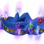 Flexoelectricity Schematic Active Cell Membrane