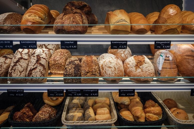 Freshly Baked Breads Bakery Store
