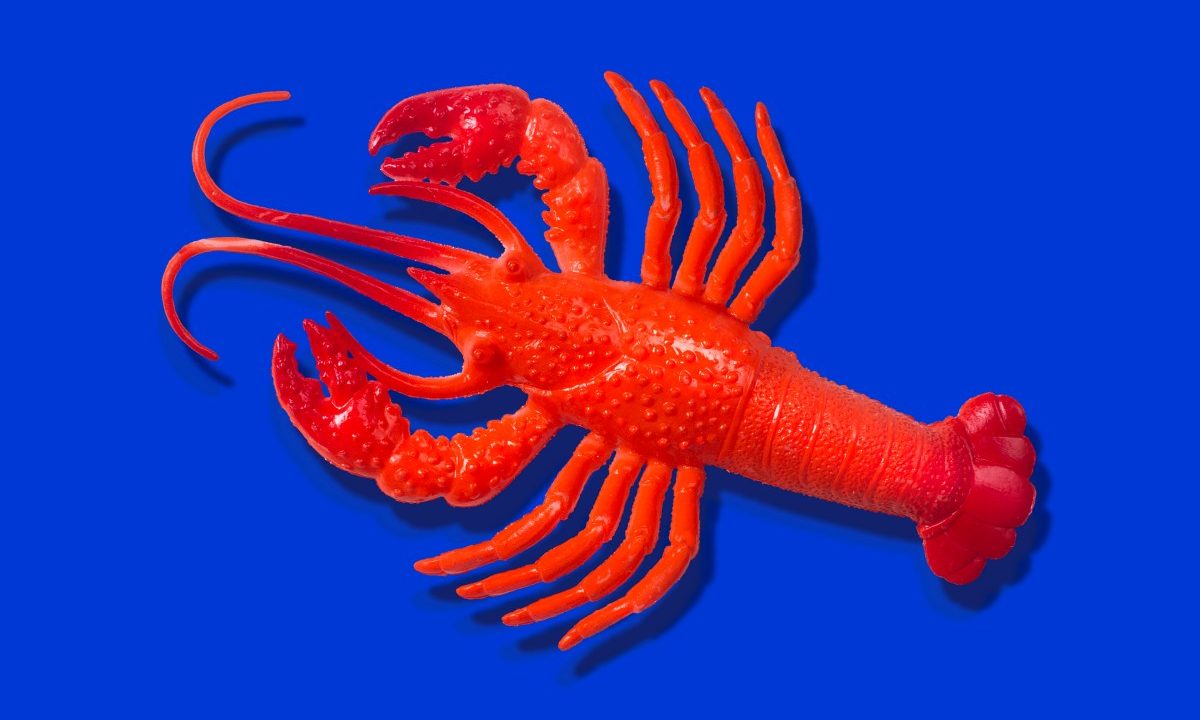 Red rubber lobster toy on blue background
