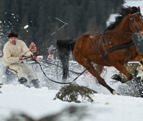 The extreme sport of skijoring, where horses pull skiers at 40 mph