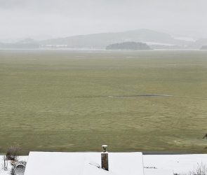 Toxic algae turned a frozen lake green
