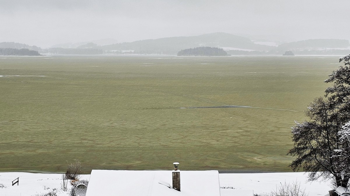 Toxic algae turned a frozen lake green