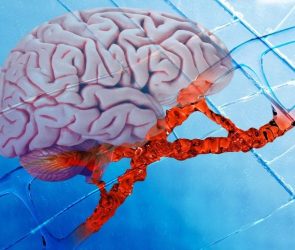 Human Brain DNA Mutation Neuroscience Genetics