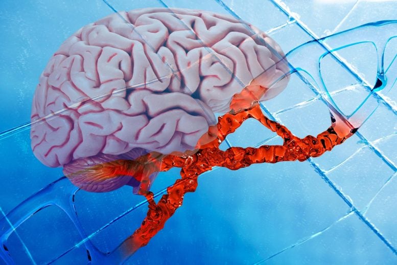 Human Brain DNA Mutation Neuroscience Genetics