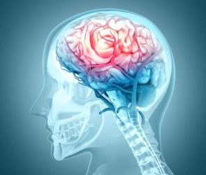 Human Brain Injury Blood Vessel Damage Hemorrhage