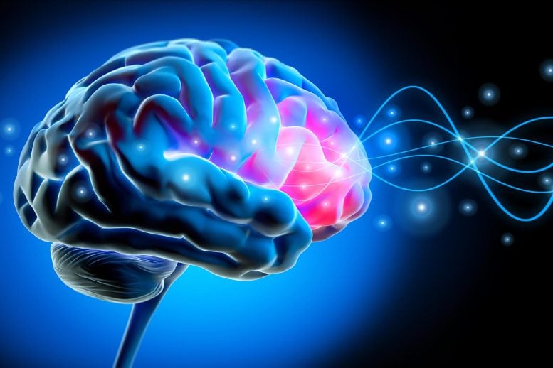 Human Brain Waves Neural Signals Treatment