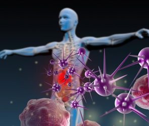 Human Immunity Infectious Diseases Illustration