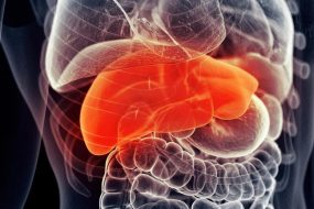 Human Liver.Pain Disease