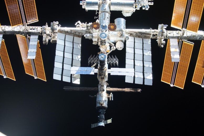 ISS From SpaceX Crew Dragon Endeavour Flyaround 2021