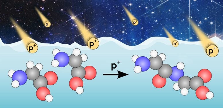 Interstellar Medium Glycine Bombarded by Cosmic Rays Producing Peptides