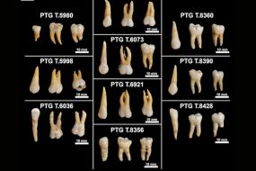 Iron Age teeth reveal the hidden lives of ancient Italians