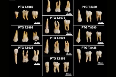 Iron Age teeth reveal the hidden lives of ancient Italians
