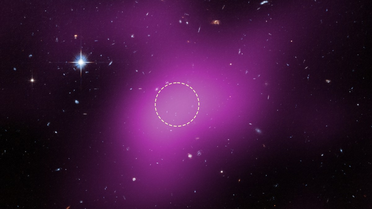 Mysterious space object is full of dark matter