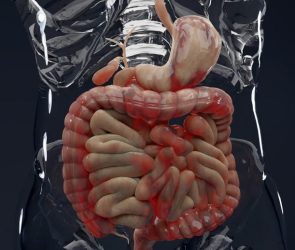 Male Anatomy Digestive System Crohn's Disease