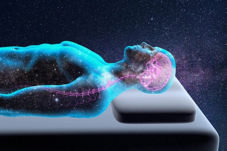 Man Sleeping Universe Brain Consciousness