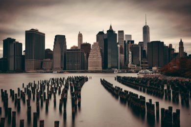 Nature could take over an abandoned NYC surprisingly quickly