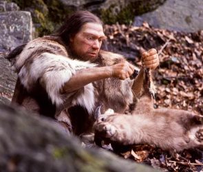 Neanderthal Hunter Processing Large Animal Prey