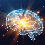 Neuroscience Exercise Dementia Brain Boost