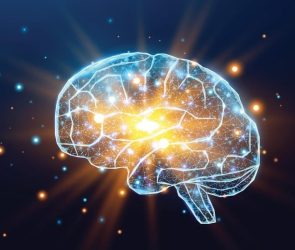 Neuroscience Exercise Dementia Brain Boost