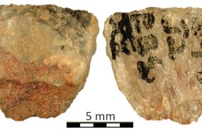 World's oldest poison-tipped arrow discovered in South Africa