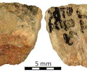 World's oldest poison-tipped arrow discovered in South Africa