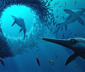 Reconstructed Image of the Xiphodracon