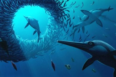 Reconstructed Image of the Xiphodracon